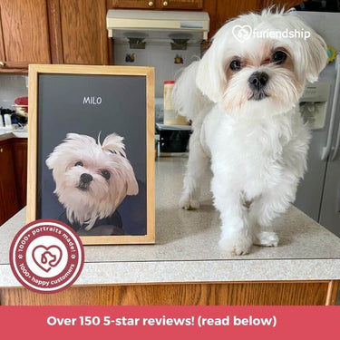 5 star reviews at FuriendshipUsa.com